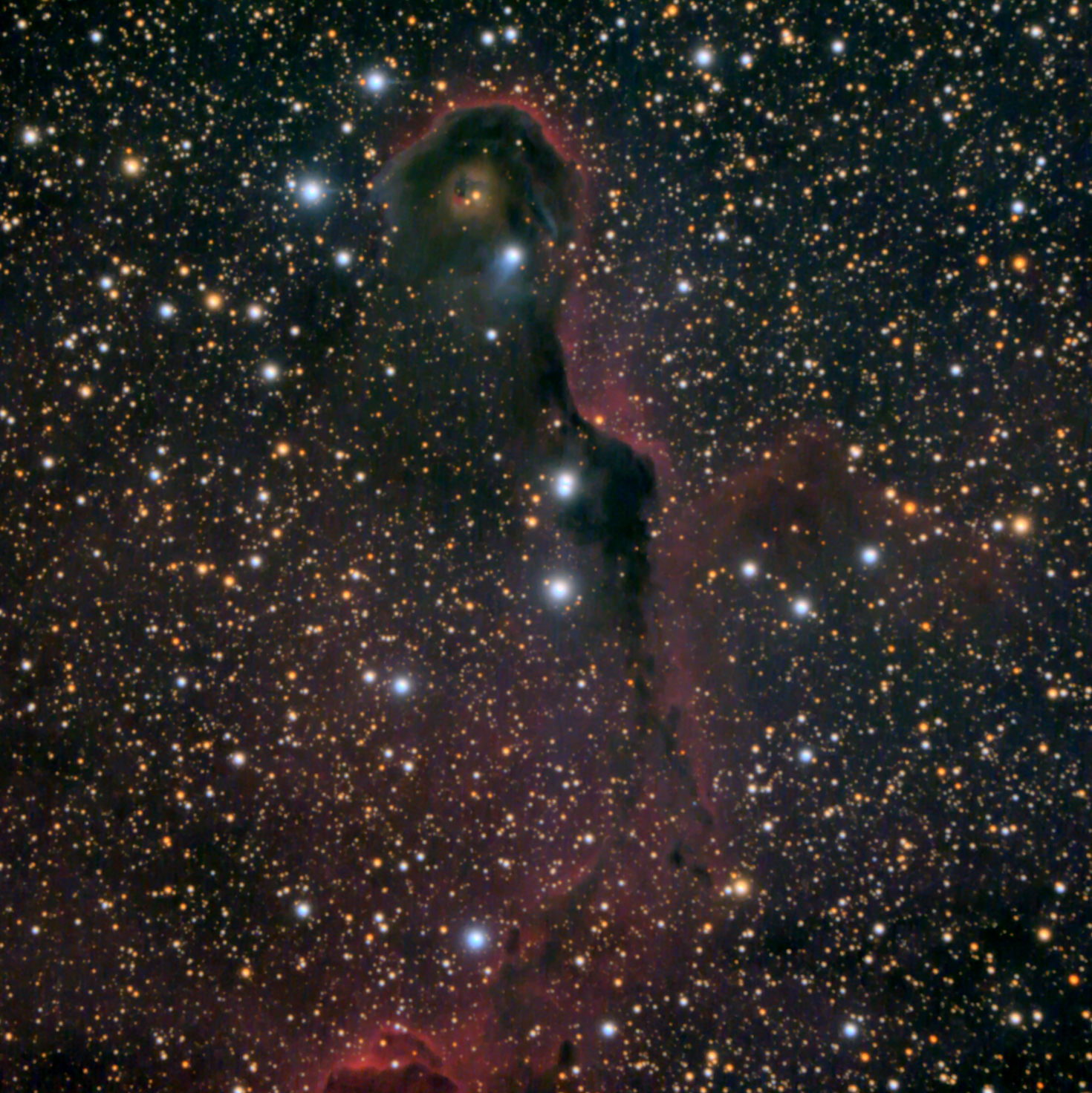 Click for more details