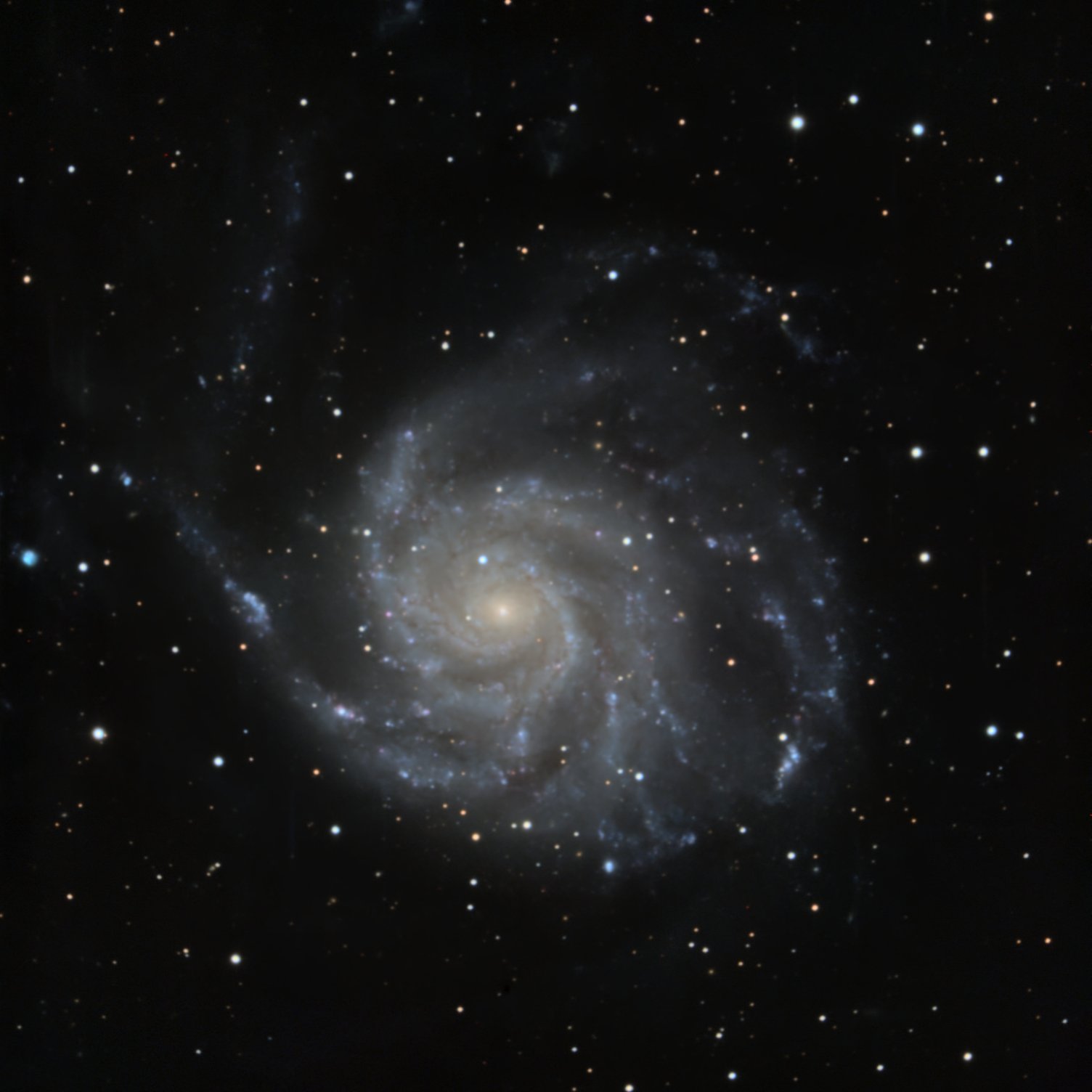 Click for more details