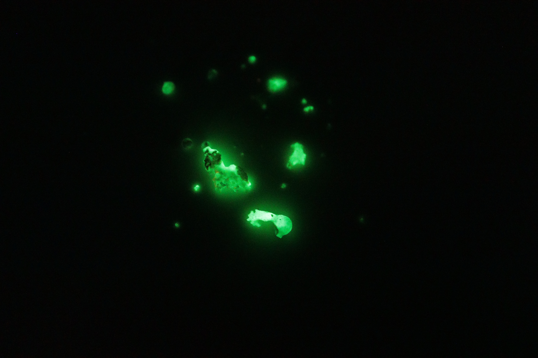 Strontium aluminate glowing